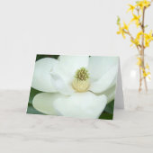 Magnolie vergrößert karte (Gelbe Blume)