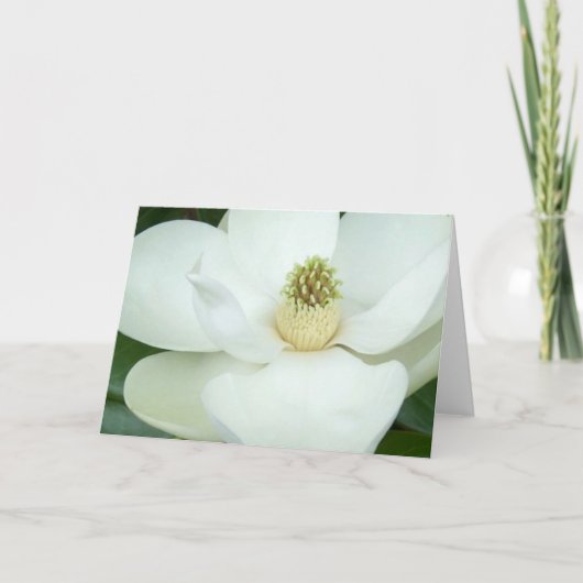 Magnolie vergrößert karte (Vorderseite)