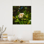 Magnolie von Korfu Poster (Küche)