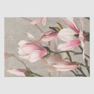 Magnolien (1886) seidenpapier