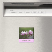 Magnolien, 18. April 2009 Magnet (In Situ (Geschirrspüler))