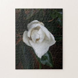Magnolien 1 puzzle