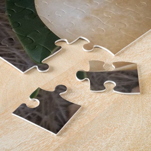 Magnolien 2 puzzle (Seite)