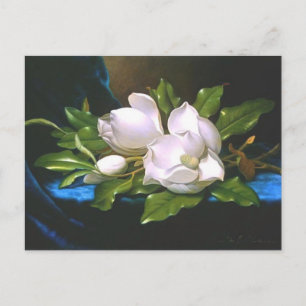 Magnolien auf blauem Samt - Postkarte