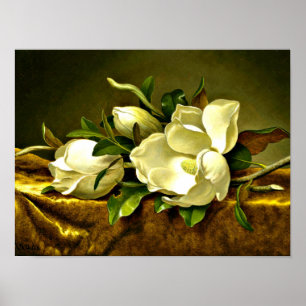 Magnolien auf goldenem Samttuch Poster