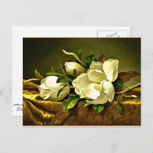 Magnolien auf goldenem Samttuch Postkarte (Vorne/Hinten)