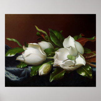 Magnolien auf Hellblau von Martin Johnson Heade Poster