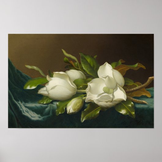 Magnolien auf hellblauem Samt, berühmtes Gemälde Poster (Vorne)