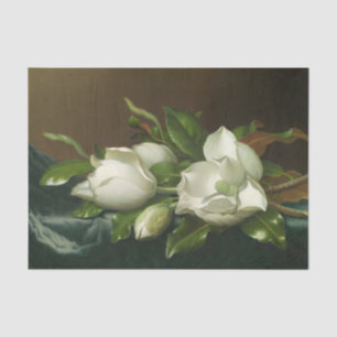 Magnolien auf hellblauem Samtstoff von Heade Seidenpapier