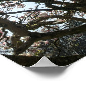 Magnolien Bäume, Zweige und Blossom 05 Poster (Ecke)