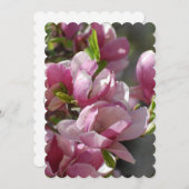 Magnolien blühen einladung (Vorne/Hinten)