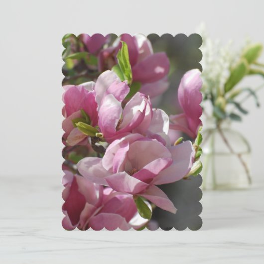 Magnolien blühen einladung (Stehend Vorderseite)