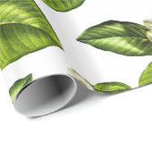 Magnolien-Blumen-botanisches Verpackungs-Papier Geschenkpapier (Rolleneckpunkt)