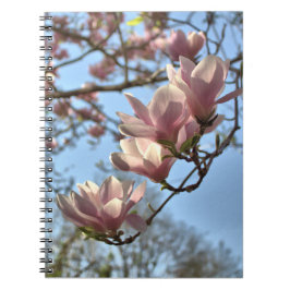 Magnolien-Blumen im Frühling Notizblock