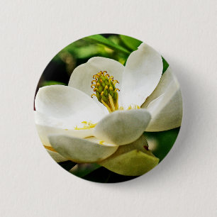 Magnolien-Blumen-nahes hohes Button