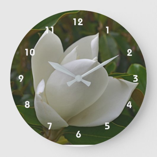 Magnolien-Blüte Clocl Große Wanduhr (Vorderseite)