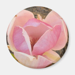 Magnolien-Blüte Magnet