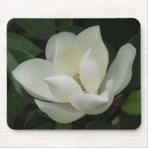 Magnolien-Blüte Mousepad