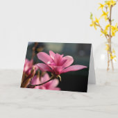 Magnolien-Blüte Notecard Karte (Gelbe Blume)