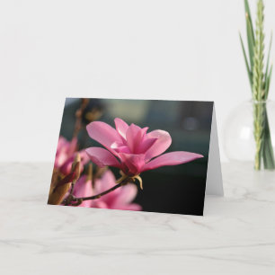 Magnolien-Blüte Notecard Karte