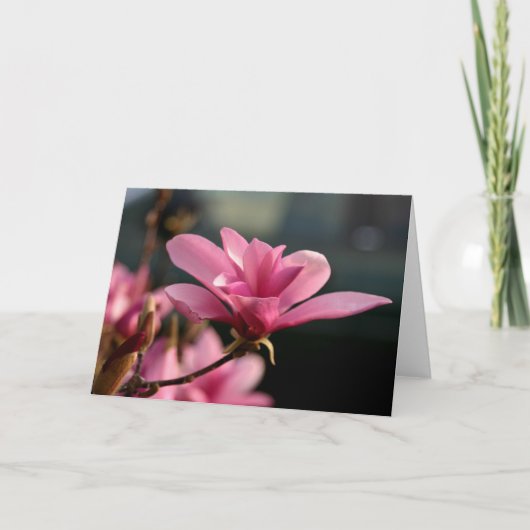 Magnolien-Blüte Notecard Karte (Vorderseite)