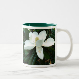 Magnolien-Blüte Zweifarbige Tasse