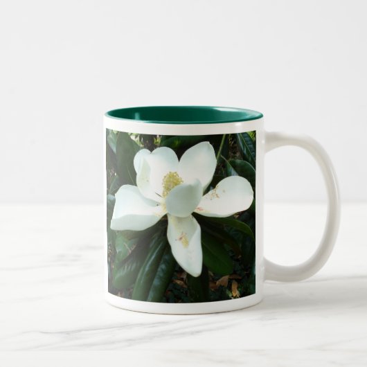 Magnolien-Blüte Zweifarbige Tasse (Rechts)