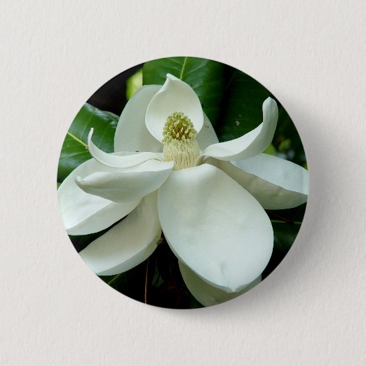 Magnolien-Blüten-Knopf Button (Vorderseite)