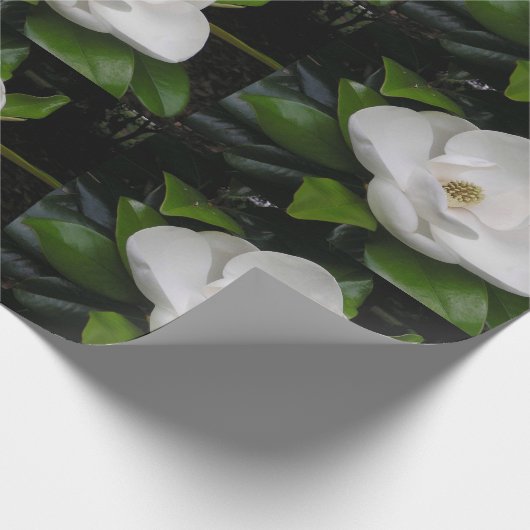 Magnolien-Blüten-Packpapier Geschenkpapier (Ecke)