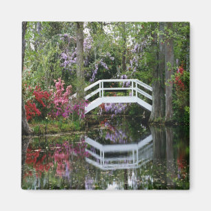 Magnolien-Gärten, S.C. Magnet