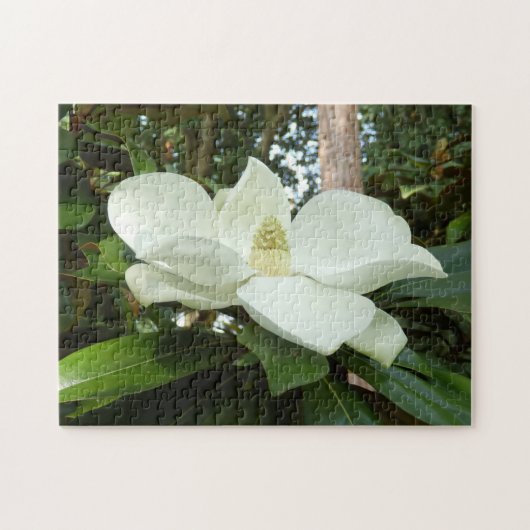Magnolien-GrandifloraFoto-Puzzlespiel mit Puzzle (Horizontal)