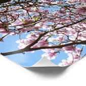 Magnolien im April Poster (Ecke)