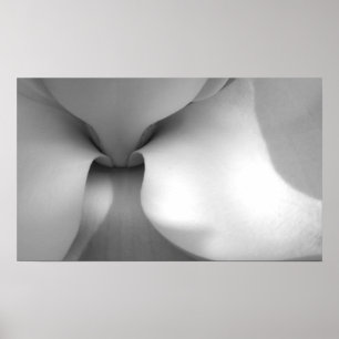 Magnolien-Leinwand-Druck Poster