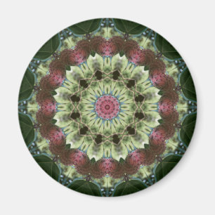Magnolien-Samen-Hülsen-Mandala Magnet