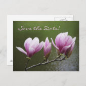 Magnolien, Save the Date! Ankündigungspostkarte (Vorne/Hinten)