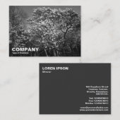 Magnolien Trees in Blossom (BW) Visitenkarte (Vorne/Hinten)