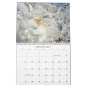 Magnolien und Dogwoods Tree Blume Kalender (Jan 2027)