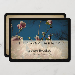 Magnolien-Vintages ErinnerungsBeileid danken Ihnen Einladung