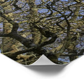 Magnolien, Zweige und Blossom Poster (Ecke)