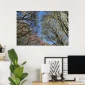 Magnolien, Zweige und Blossom Poster (Heimbüro)