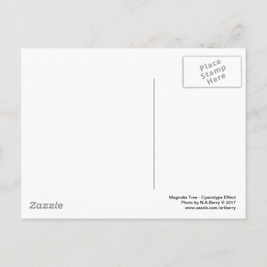 Magnolienbaum - Cyanotypeneffekt Postkarte (Rückseite)