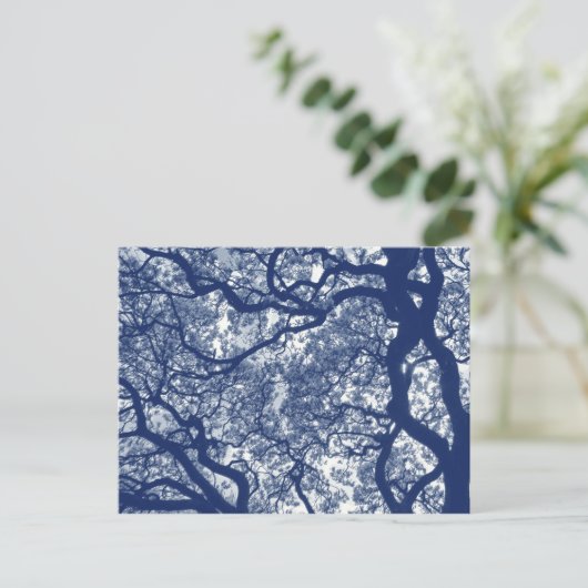 Magnolienbaum - Cyanotypeneffekt Postkarte (Stehend Vorderseite)