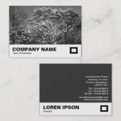 Magnolienbaum in Blossom (B&W) Visitenkarte (Vorne/Hinten)