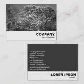 Magnolienbaum in Blossom (B&W) Visitenkarte (Vorne/Hinten)