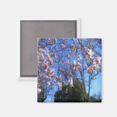 Magnolienbaum...... Magnet (Vorderseite/Rückseite)