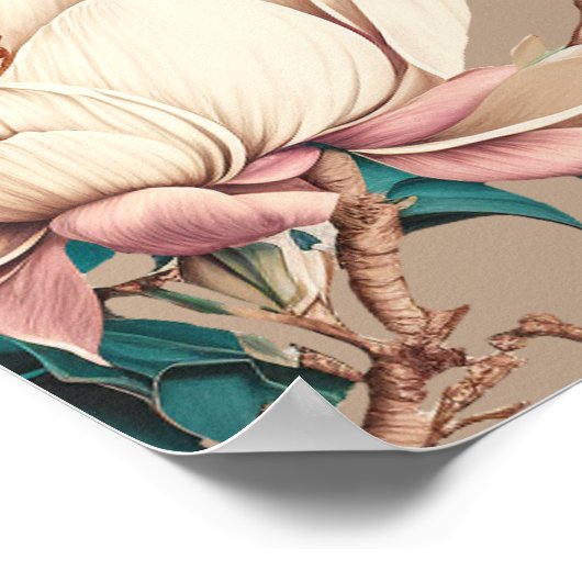 Magnolienblüte Blütendusche Poster (Ecke)