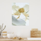 Magnolienblüte Poster (Küche)
