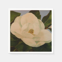 Magnolienblüte