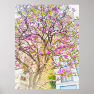 Magnolienblüten  poster
