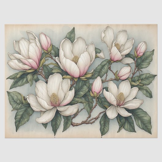 Magnolienblüten Seidenpapier (Vorderseite)